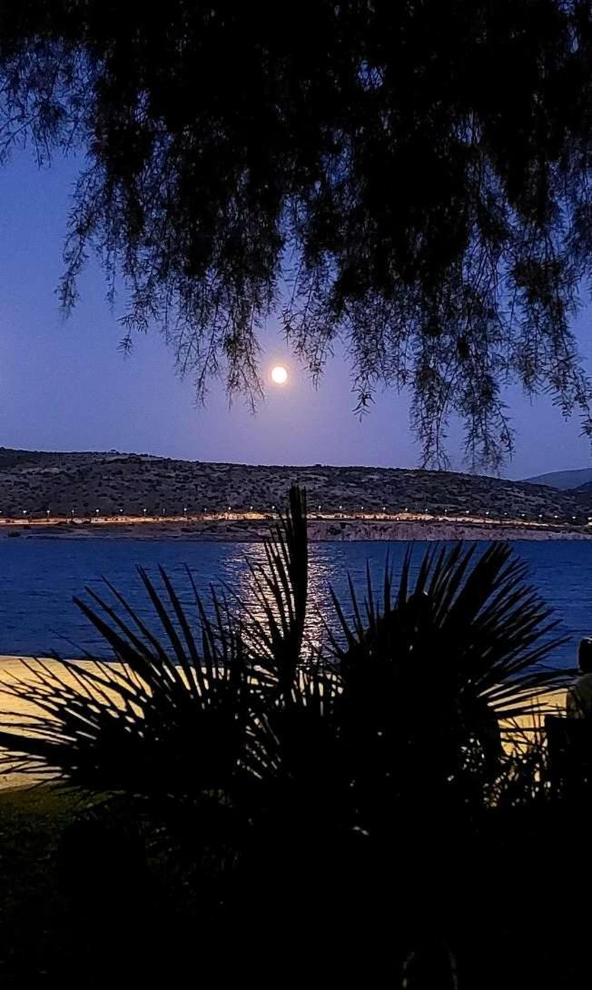 Alianthos Apartmán Vári