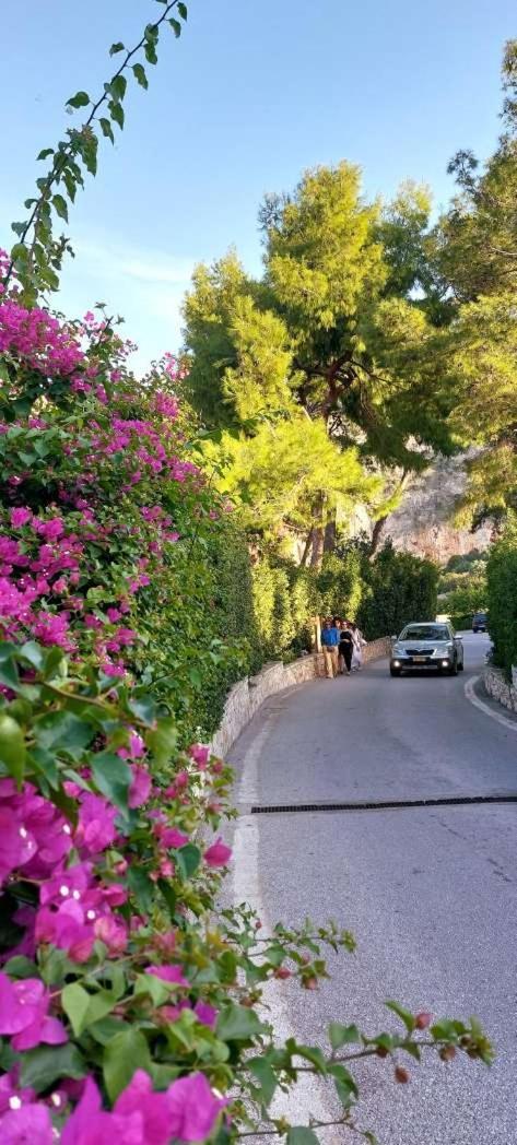 Alianthos Apartmán Vári