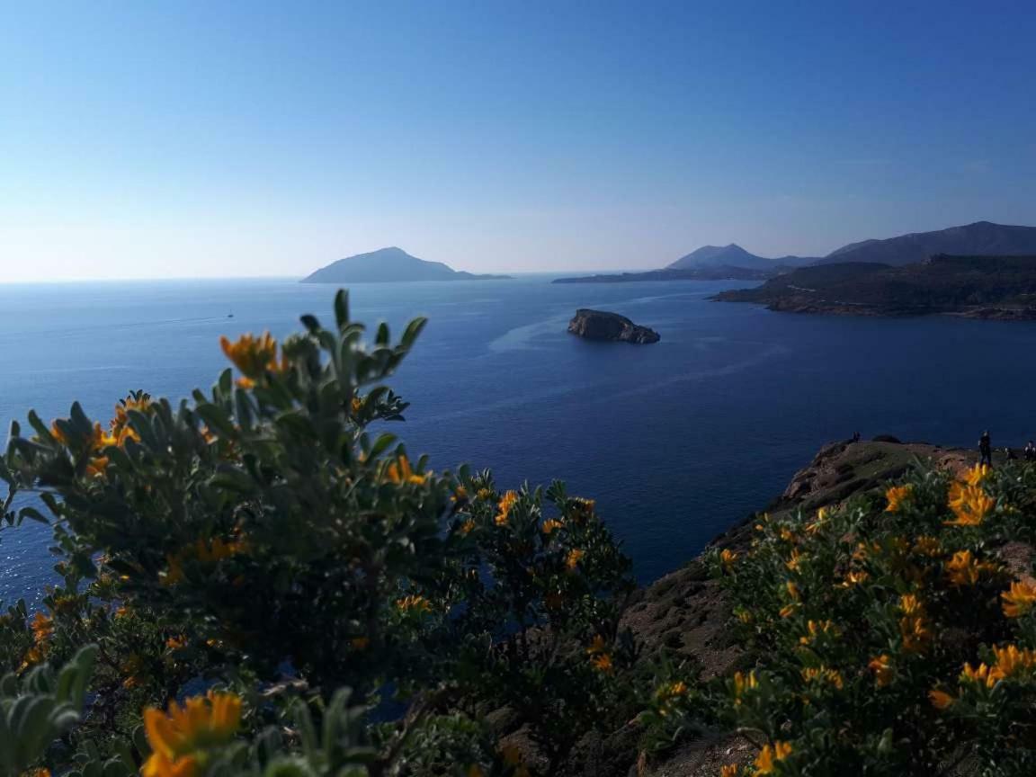 Alianthos